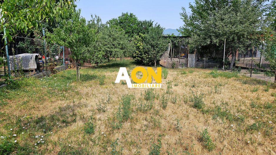 Proprietate cu potențial mixt – locuință și spațiu de lucru în Partoș - Poză 33