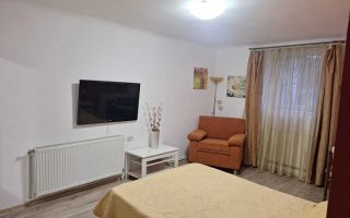 Apartament 1 camera COPOU (LICEUL NEGRUZZI) - 399 EURO - Poză 2