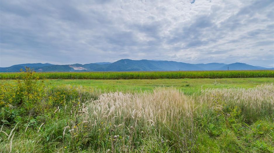 Oportunitate de investitie la DN1, 5.000 mp, zona aeroportului Brasov - Poză 5