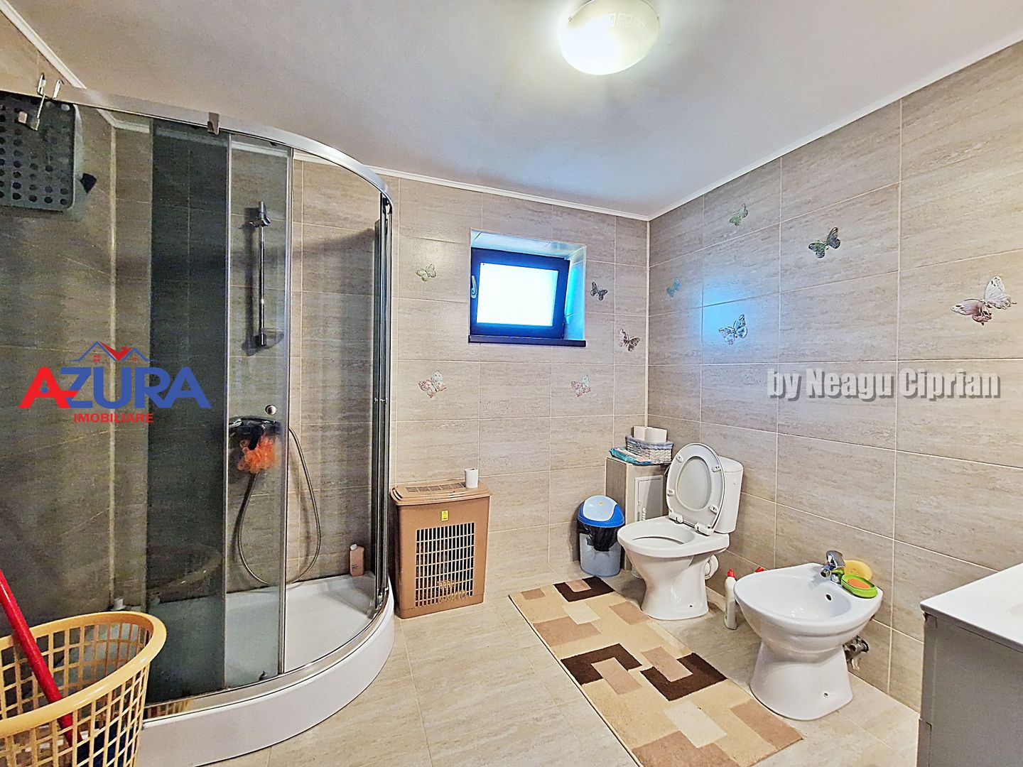 AZURA Imobiliare - 2 Case, 1 Camin - Smeura 250 m din DN zona Hintesti - Poză 16