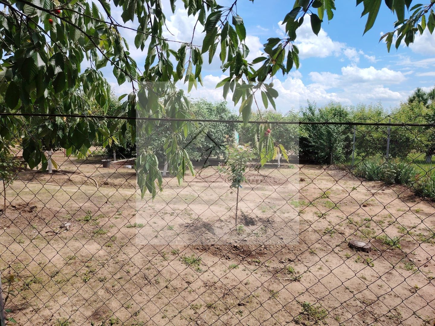 Casa Ciocanesti Cretu - 2 camere cu teren 2539 mp  - Jud. Dambovita - Poză 44