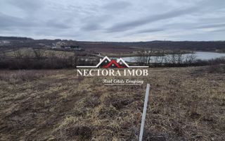 NECTORA IMOB-Teren Intravilan Zona Paleu, 589 mp, Vedere LAC,Utilitati - Poză 2