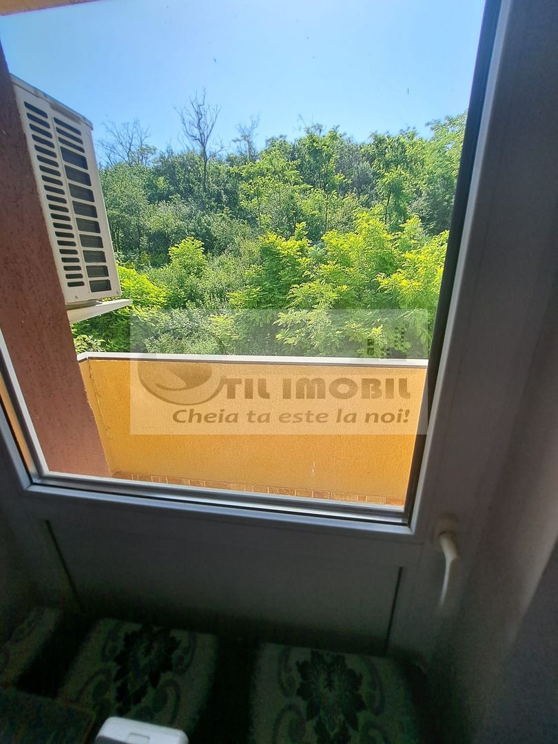 Casa/Vila  Bucium - 1700 euro - Poză 14
