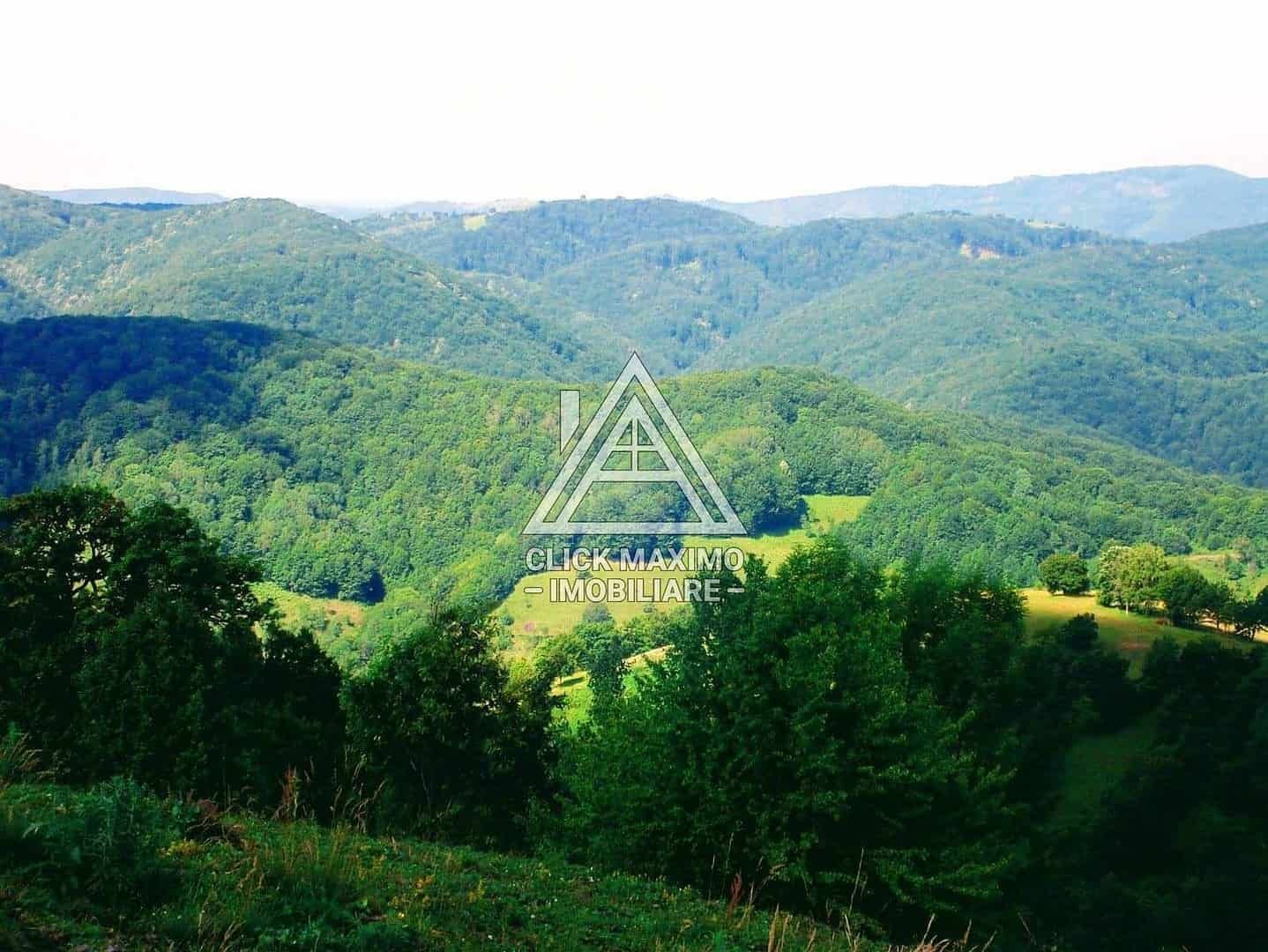 CASĂ și TEREN 85.000 mp – Casa părintească Părintele Arsenie Boca - Poză 5