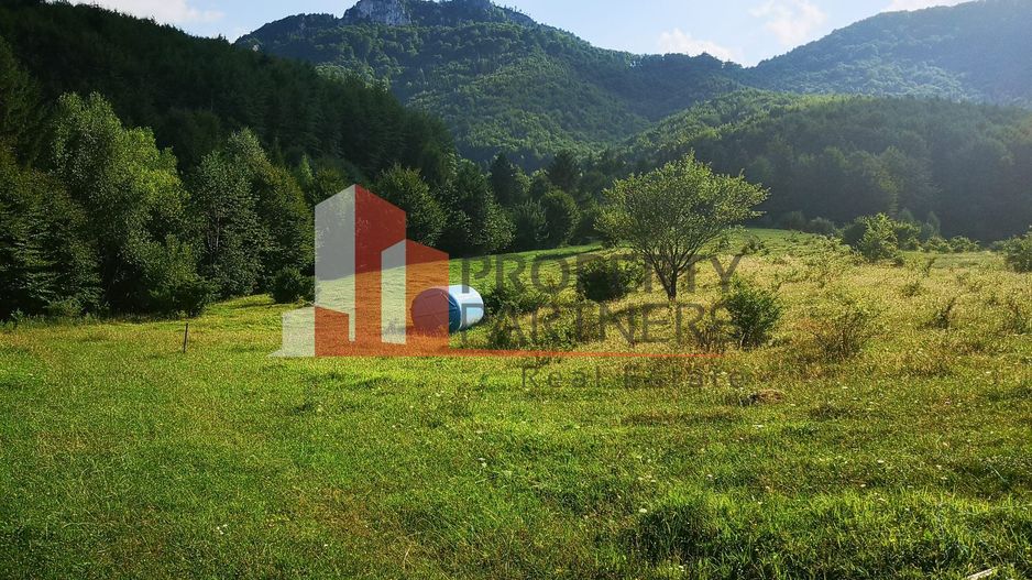 Teren Intravilan 1.500 mp | Vedere Panoramică| Tohanita - Poză 8