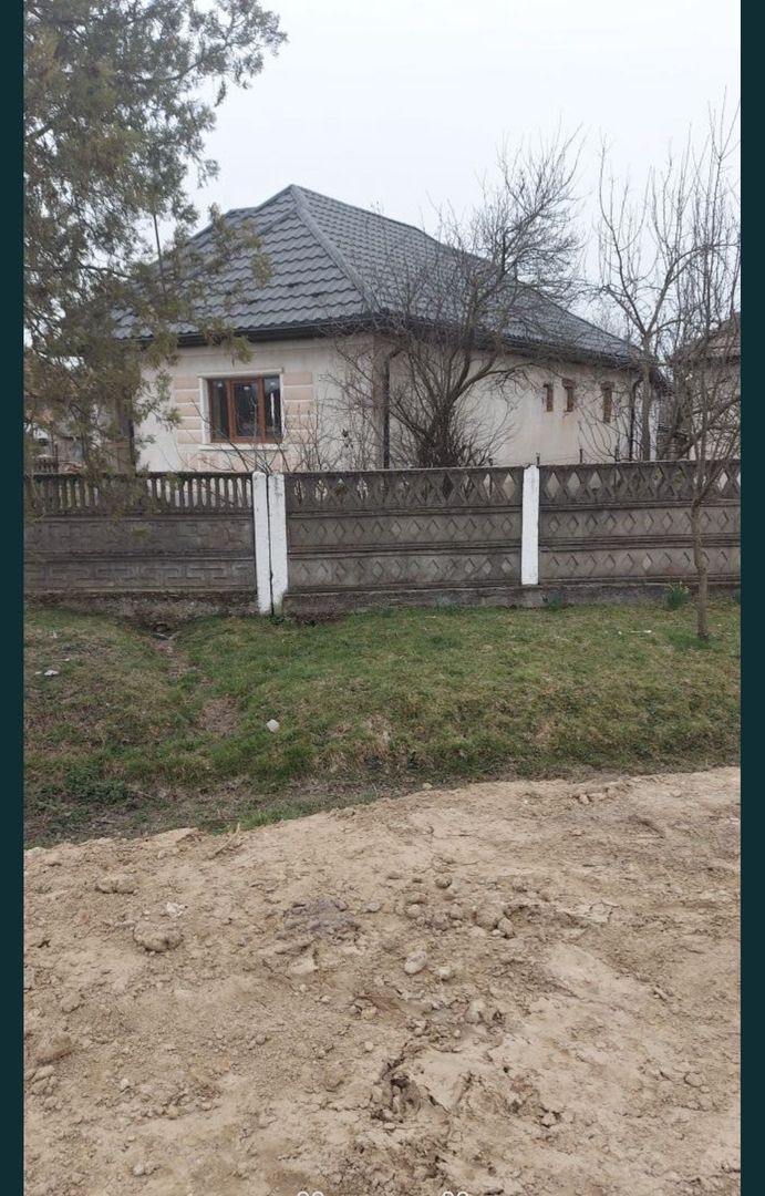 Casa Valea Vinului - Poză 2