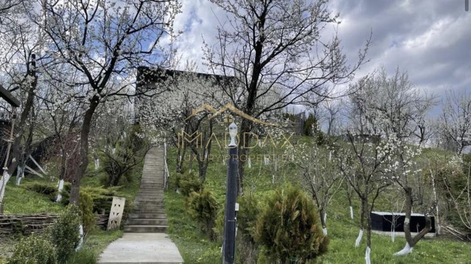 Casa de vacanta**Panorama spectaculoasa//Provita de Jos_Prahova - Poză 1