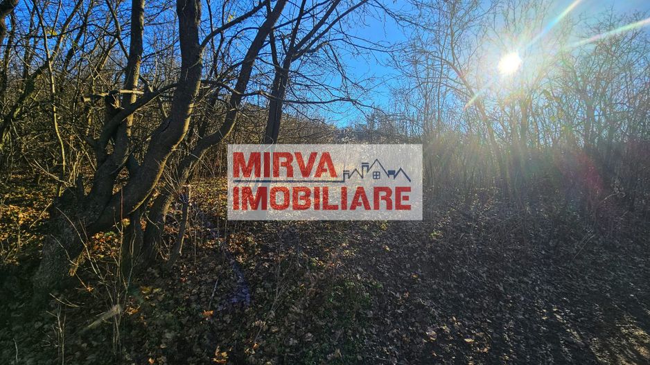 Teren intravilan 1.000 mp – Seciu, 2 deschideri, Priveliște panoramica - Poză 17