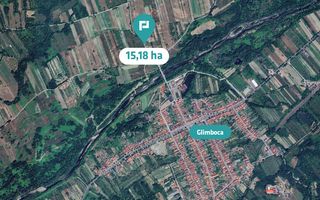 Teren extravilan agricol de 20 ha lângă Caransebes - Poză 1