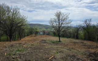 De vânzare teren intravilan – Bârsau, jud. Hunedoara - Poză 2