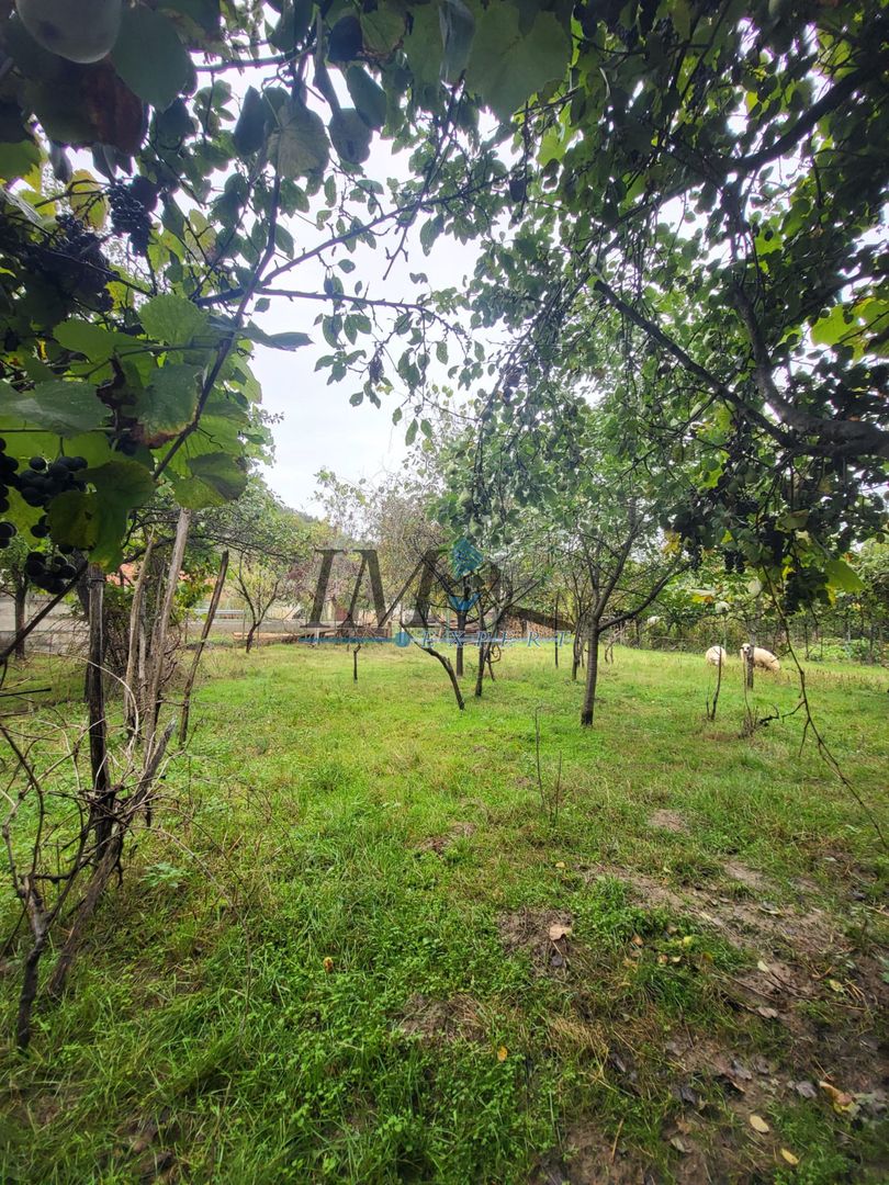 Casa in Pianu de Sus - Poză 6