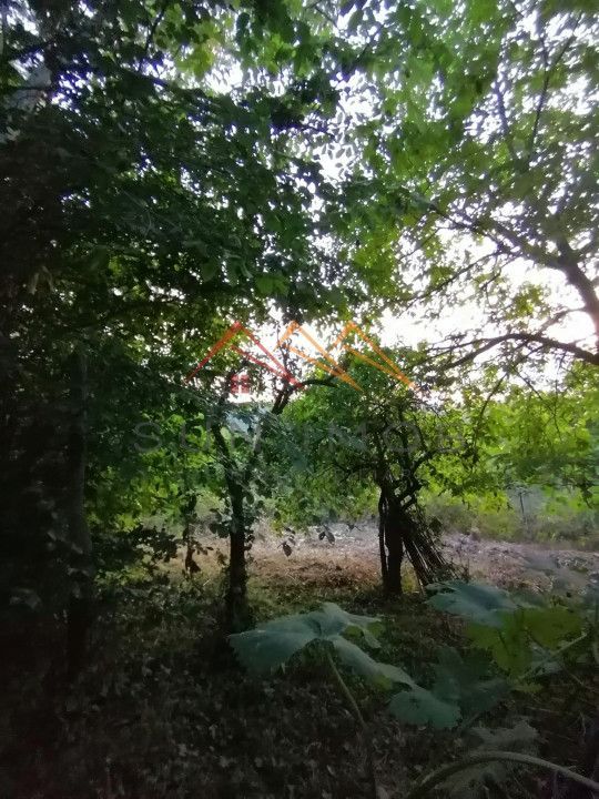 Casa de vacanta 5 camere, teren 1113m2, Bustenari, Prahova - Poză 7