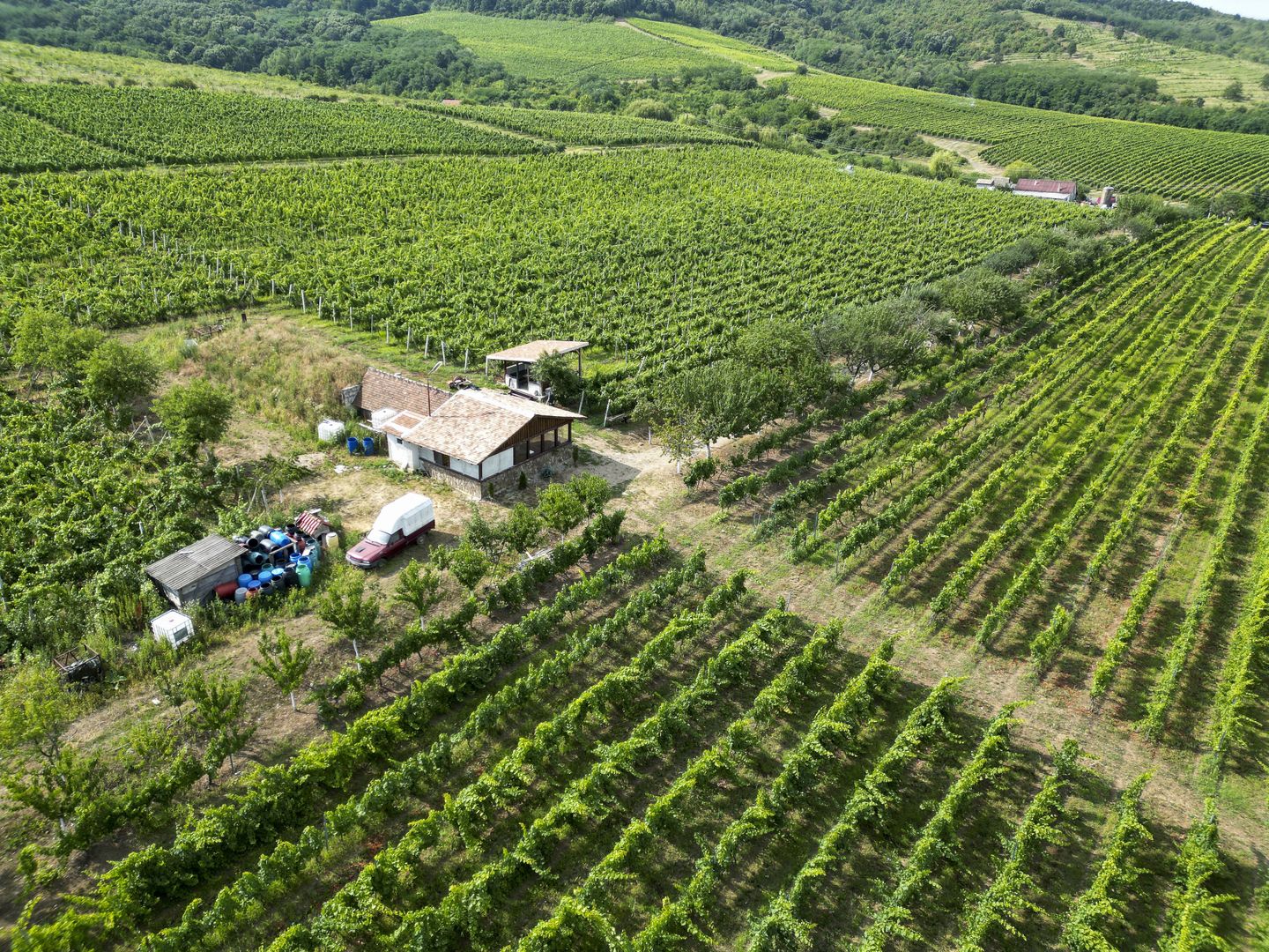 Vie Tradițională „Halta Lupilor” - Poză 49