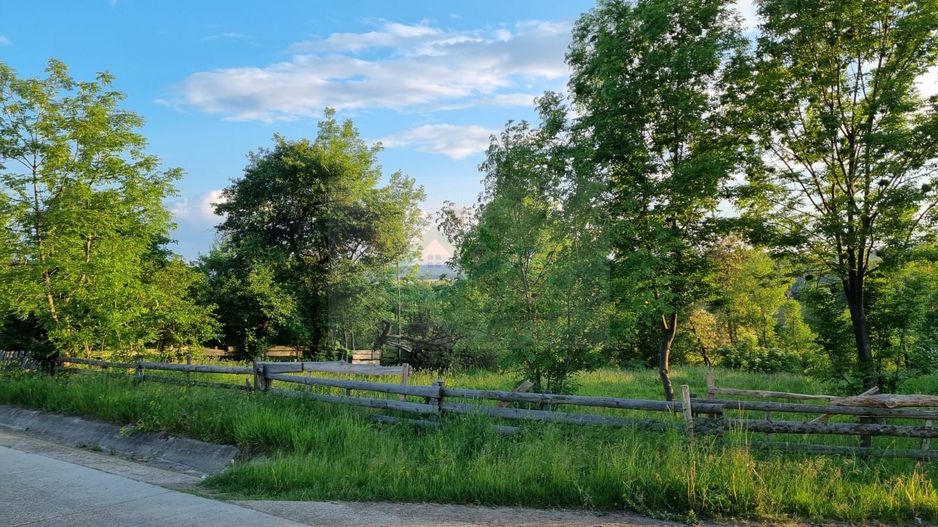 Teren Intravilan Ilisesti/Suceava - Poză 1