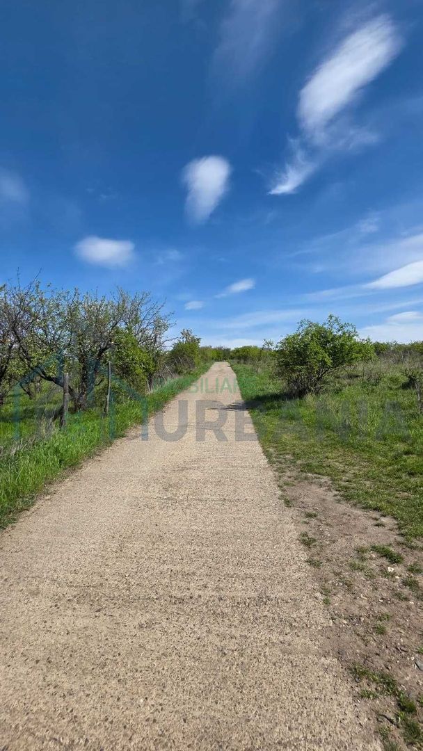 Teren intravilan 1500 mp, Tomesti – Chicerea, 10 km de Iasi, utilitati la limita - Poză 3