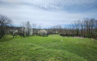 De vanzare casa 6 camere 8142 mp teren in Oarda de Sus - Poză 31