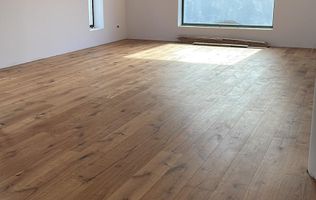 Moara Vlasiei / Caciulati, finisaje premium, 4 camerere, teren 550 mp