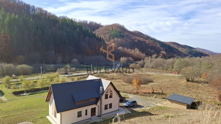 Proprietate cu potențial turistic în zona montană a Țării Lăpușului - Poză 35