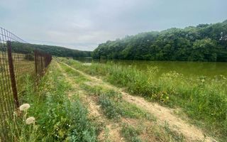 Teren Intravilan de vanzare 3778 mp Branesti Strada Violetelor - Poză 9