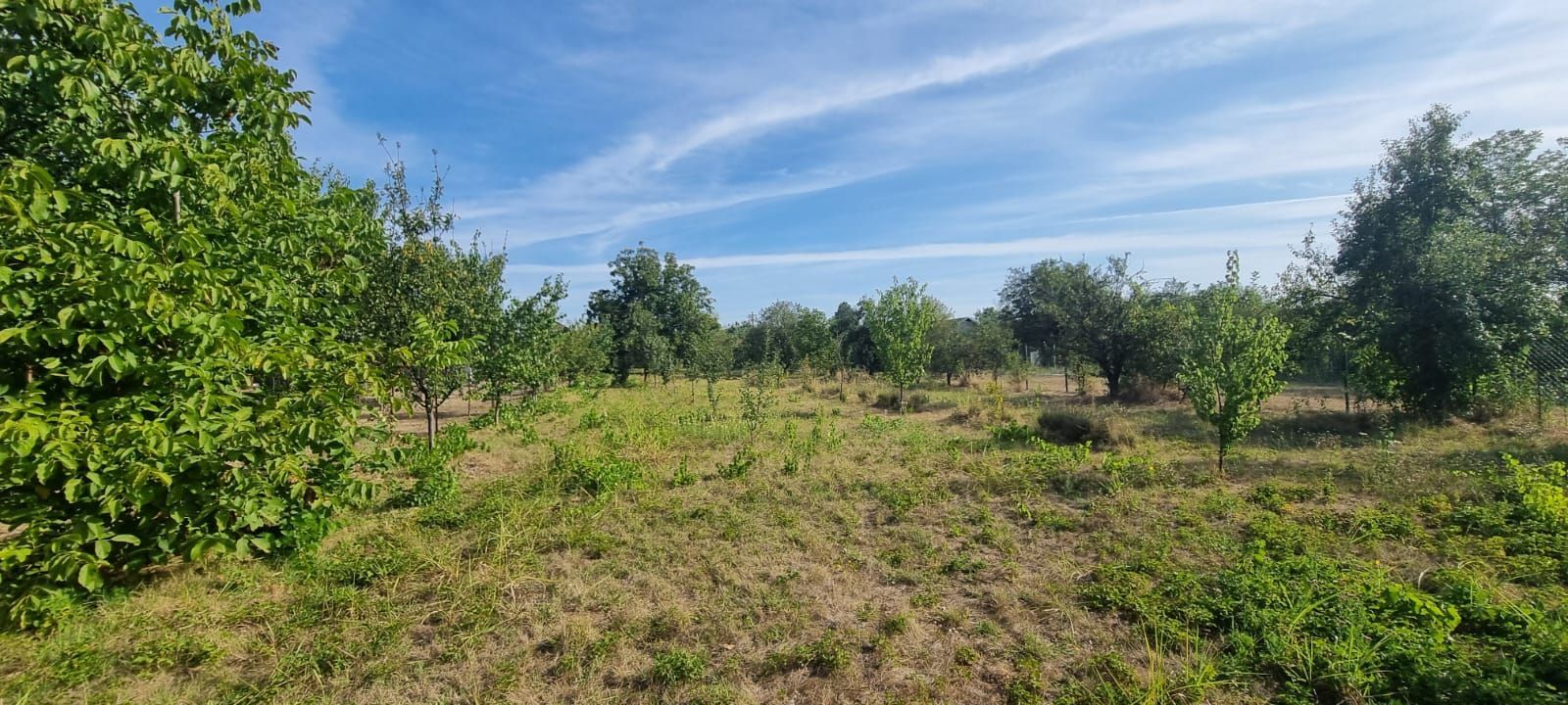 Teren 2000 mp de vânzare – Comana, deschidere la lac, aproape de Parcu - Poză 12