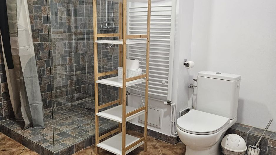 Spatiu comercial - Poză 8