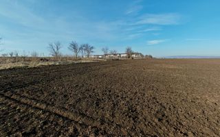 Teren intravilan,428 mp,SANPETRU iesirea spre BOD, utilitati. - Poză 1