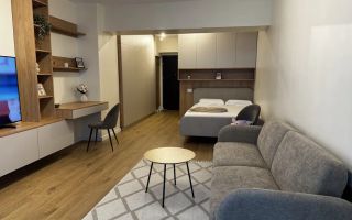 Inchiriere garsoniera Smart Residence-Lujerului+Loc de parcare - Poză 4