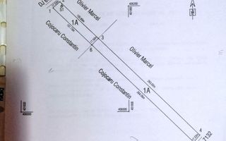 TEREN INTRAVILAN ȘI EXTRAVILAN BAIA DE FIER - Poză 10