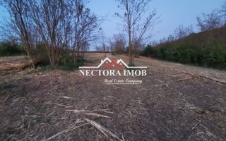 NECTORA IMOB-Loturi de teren 500 mp,Zona Saldabagiu de Munte-Lac Paleu - Poză 1