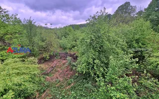 AZURA Imobiliare - Casa cu Teren Budeasa Galasesti - Poză 36