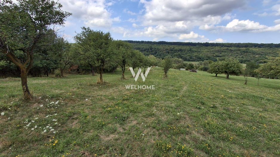 De vânzare teren extravilan în Sibiel, jud. Sibiu – 3223 mp - Poză 9