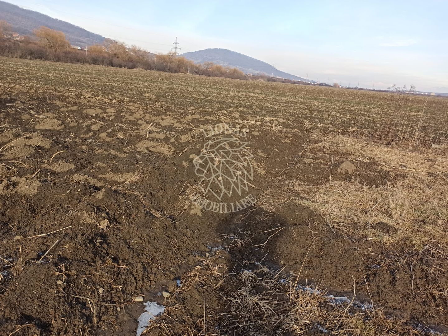 Teren intravilan 1800 mp+proiect casa-utilitati-Sarata - Poză 2