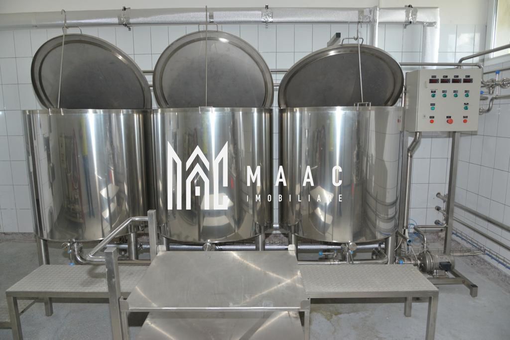 Fabrica de lactate utilata Sibiu - Poză 16