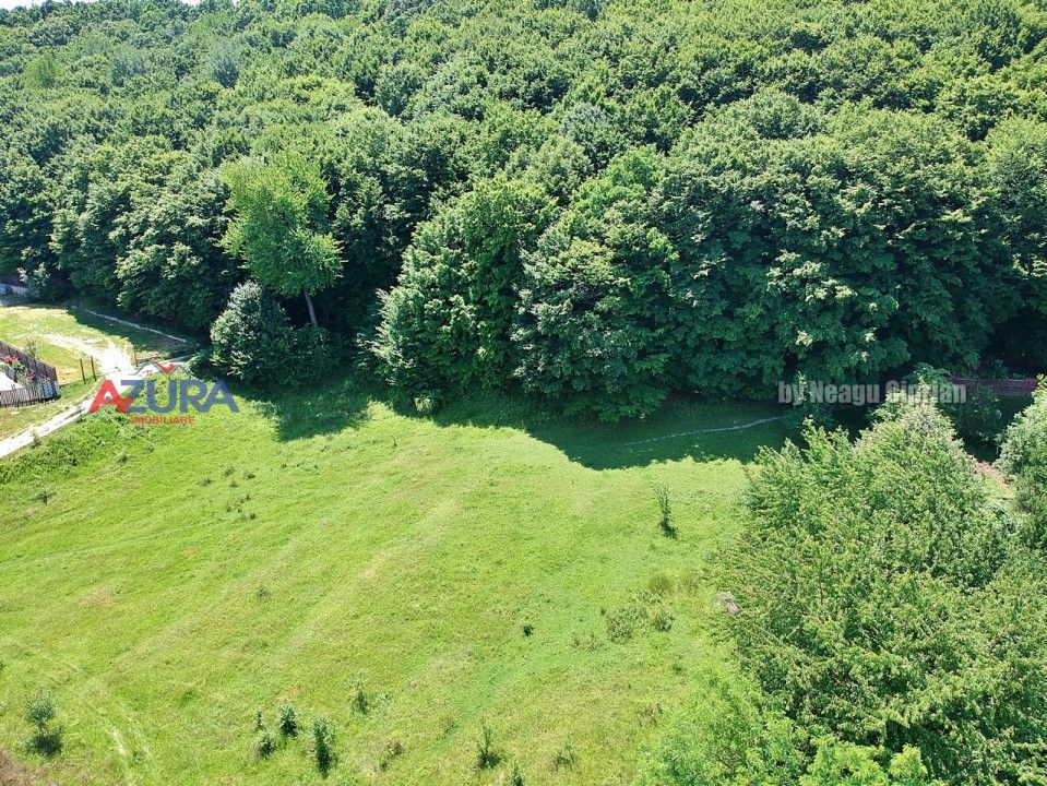 Vanzare teren 904 mp, Bascov, langa padure - Poză 3