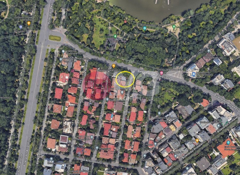 Casa si teren 300 mp de vanzare- Primaverii- parcul Bordei - Poză 2