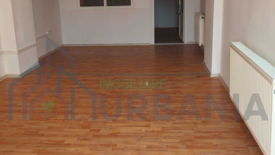 Spațiu comercial, 45 mp, renovat, cu parcare proprie, strada principală, zona Pacurari - Poză 3