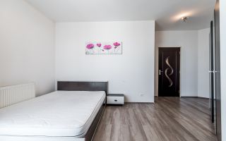 Apartament 2 camere - ARED KAUFLAND - COMISION 0 - Poză 5