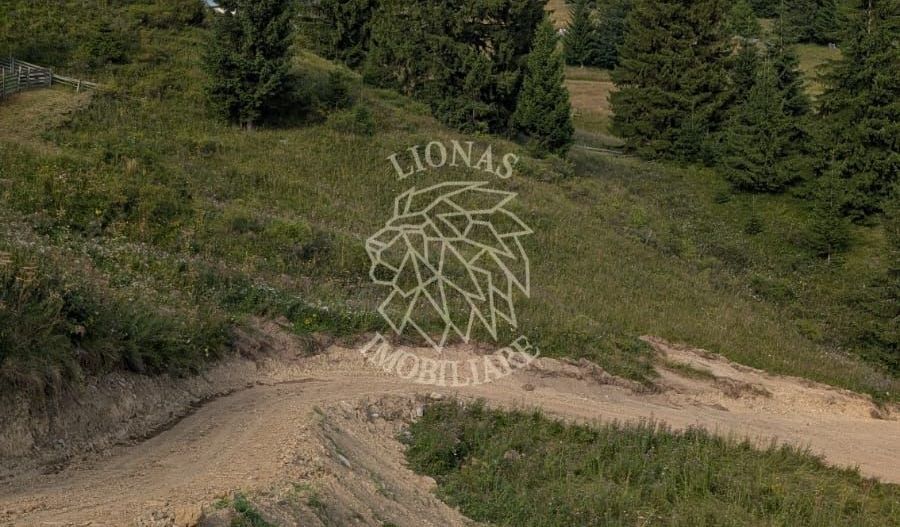 OFERTA! 11 Parcele teren intravilan-Piatra Fantanele, Castel Dracula - Poză 2