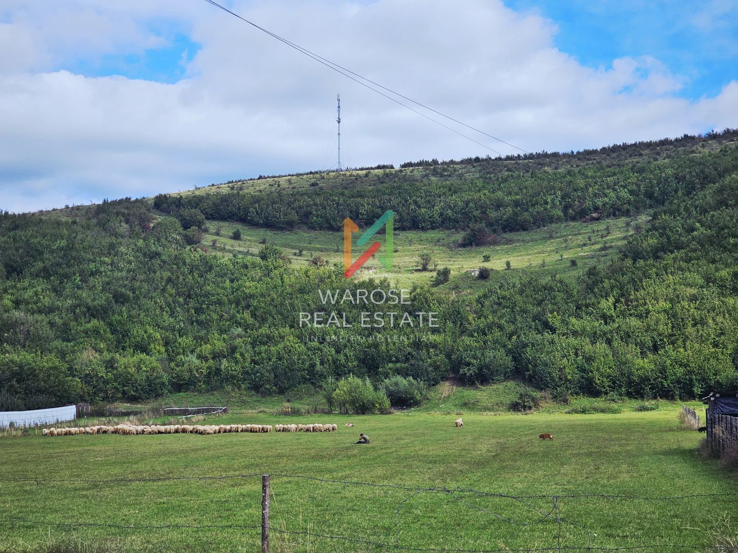 Casa | Foisor | Livada | Teren 2000 mp | Zizin | Brasov - Poză 25