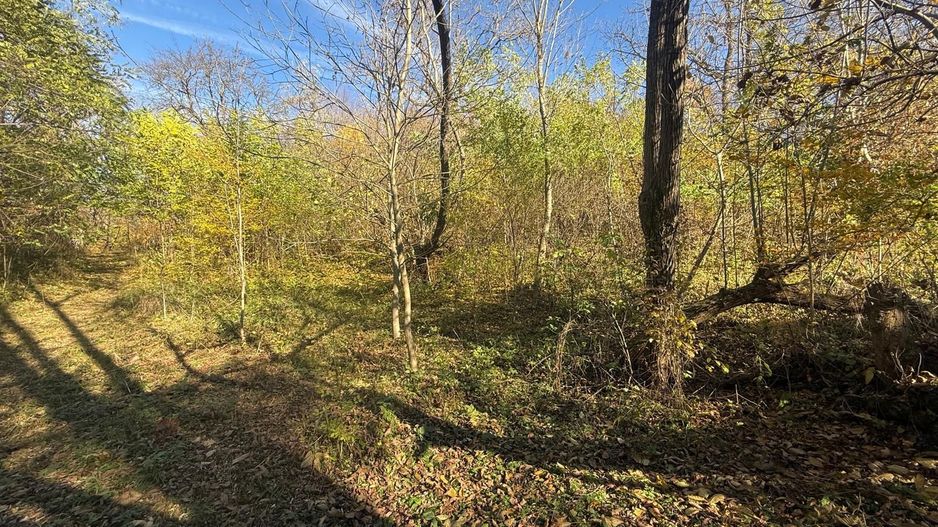 Teren langa pădure 6400mp+casa demolabila-deschidere 35 ml - Poză 5