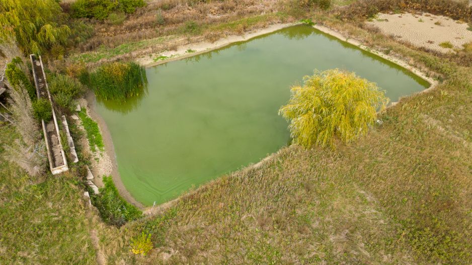 Teren 13.418 mp intravilan cu casă și 2 iazuri - Poză 6