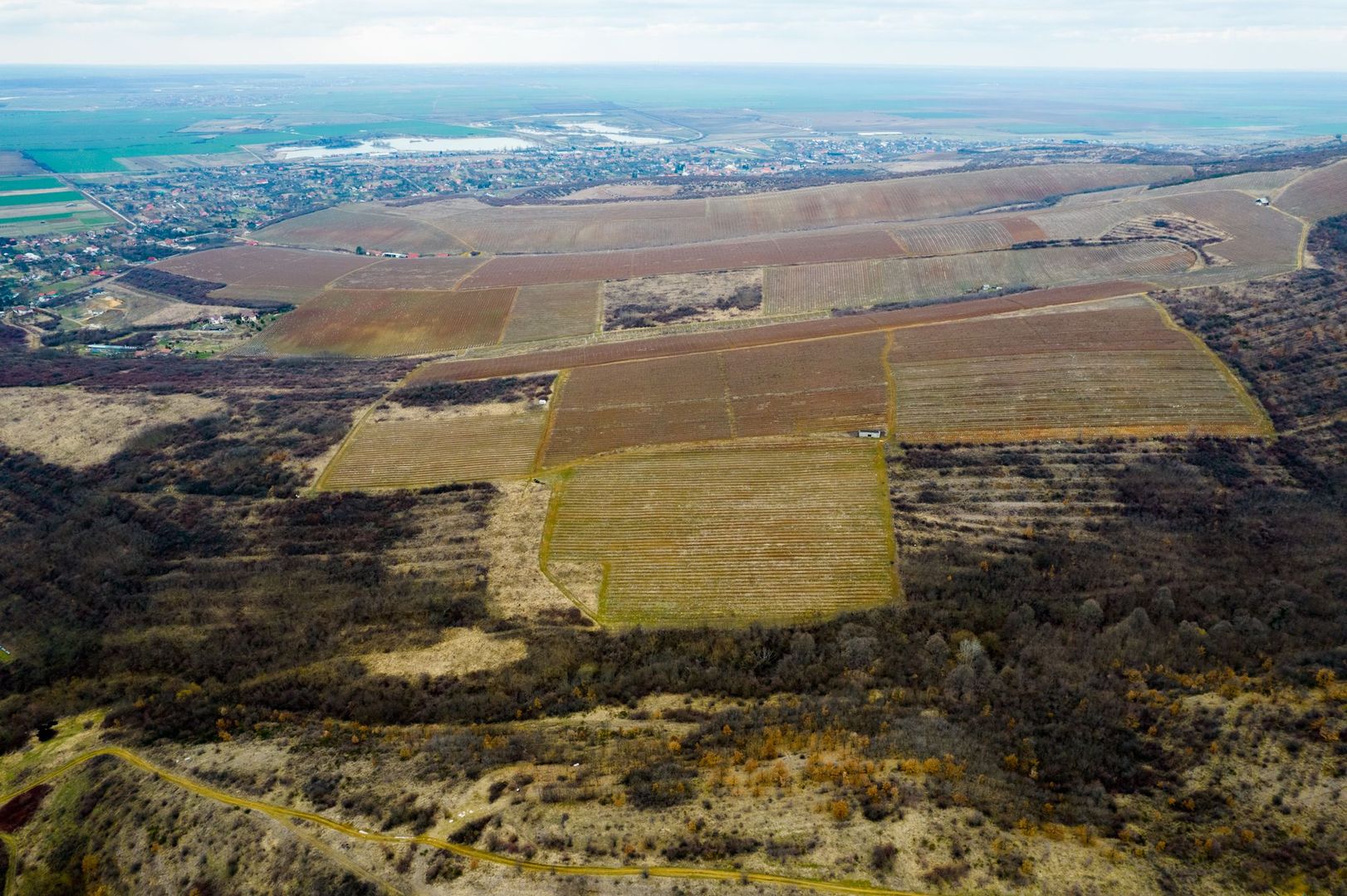 Teren pe deal în Miniș - Poză 4