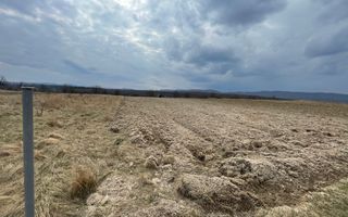 TEREN EXTRAVILAN | 23 ARI | HORODNIC DE SUS - Poză 8