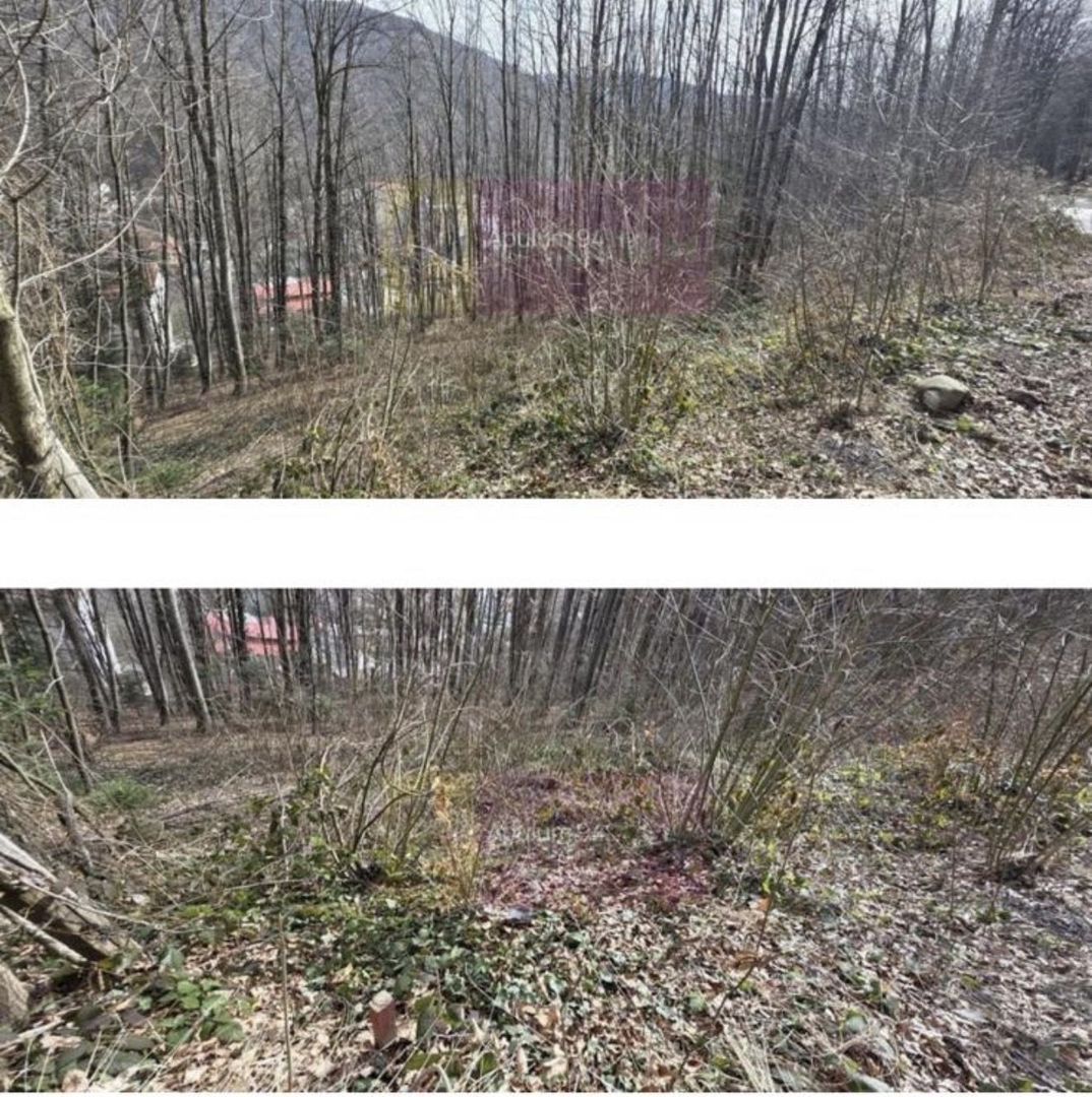 Teren 338mp, cu proiect bloc garsoniere D+P+E+M - Sinaia - Poză 2
