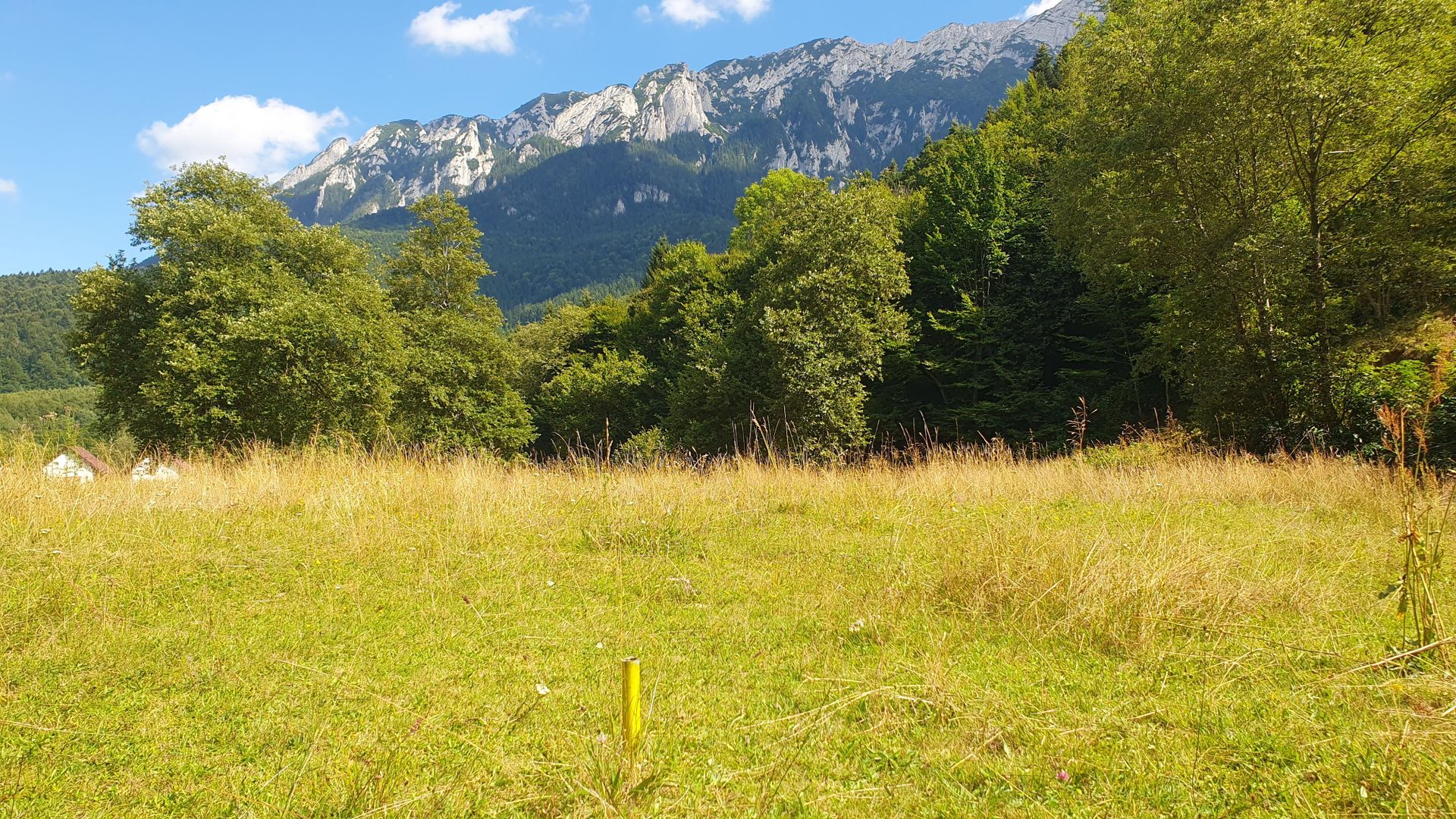 Superb!Zarnesti, Piatra Craiului, teren intravilan 1000mp, acces direct  la rau - Poză 8