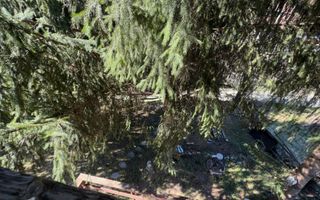 CASĂ 4 CAMERE TEREN 630 MP DAMBOVICIOARA  ARGES - Poză 41