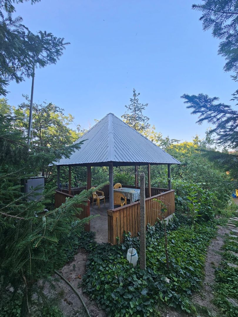 Casă / Vilă cu 8 camere de vânzare în Lapus, Craiova - Poză 5