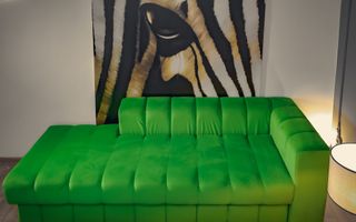 Ultracentral | 1 Camera Eleganta | Parcul Botanic - Poză 3