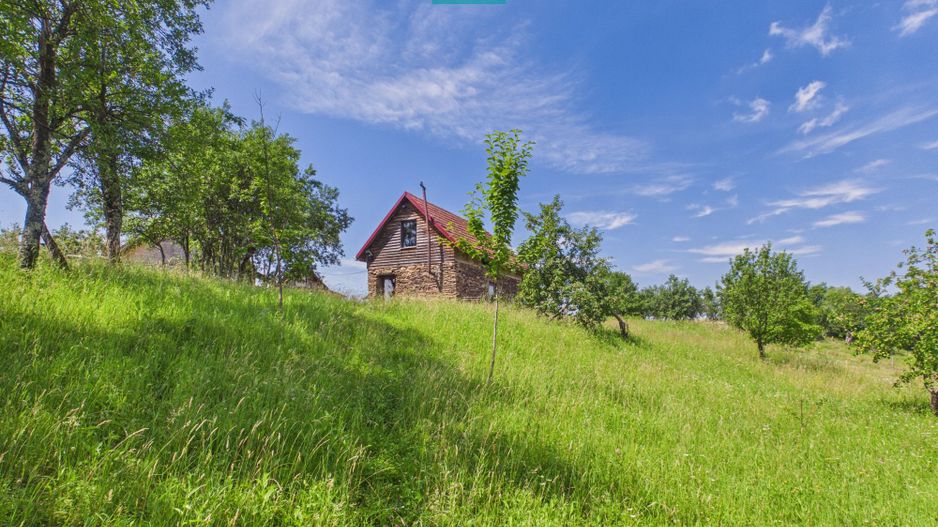 Casă de vacanță cu 2 corpuri si view în Dulcele - Poză 23