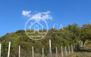 Teren de vânzare in zona de Dealuri, Oradea - Poză 3